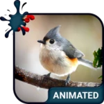 Logo of Birdy Animated Keyboard + Live Wallpaper android Application 