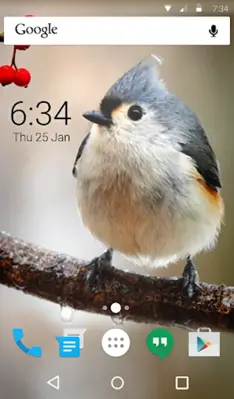 Birdy Animated Keyboard + Live Wallpaper android App screenshot 0